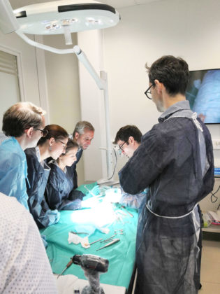 kerimedical cadaverlab formation chirurgie orthopedique main pouce prothese tmc cmc prothesis