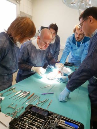 kerimedical workshop training hand surgery chirurgie main