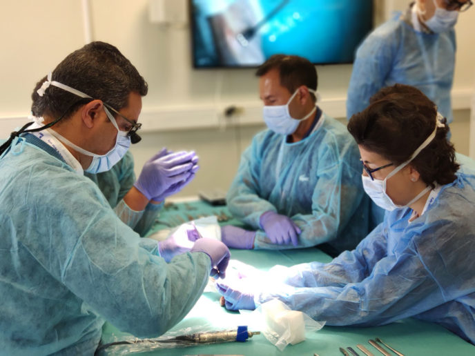 kerimedical workshop cadaverlab touch prosthesis trapeziometacarpal dual mobility rhizarthrosis